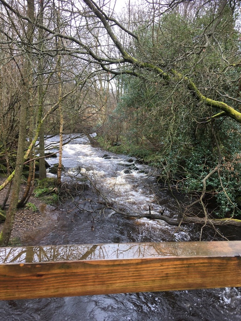 Goathland · Photo 5